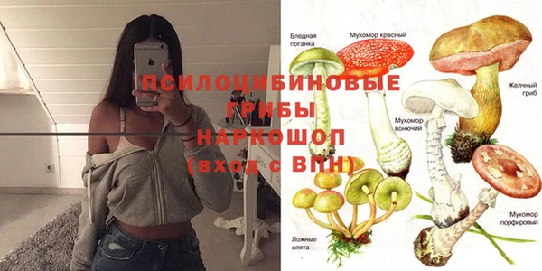 амф Алексин