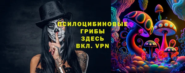 мдпв Алзамай