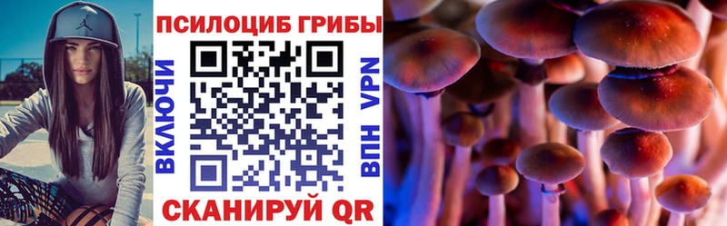 Галлюциногенные грибы мухоморы  Купить где  Аргун 